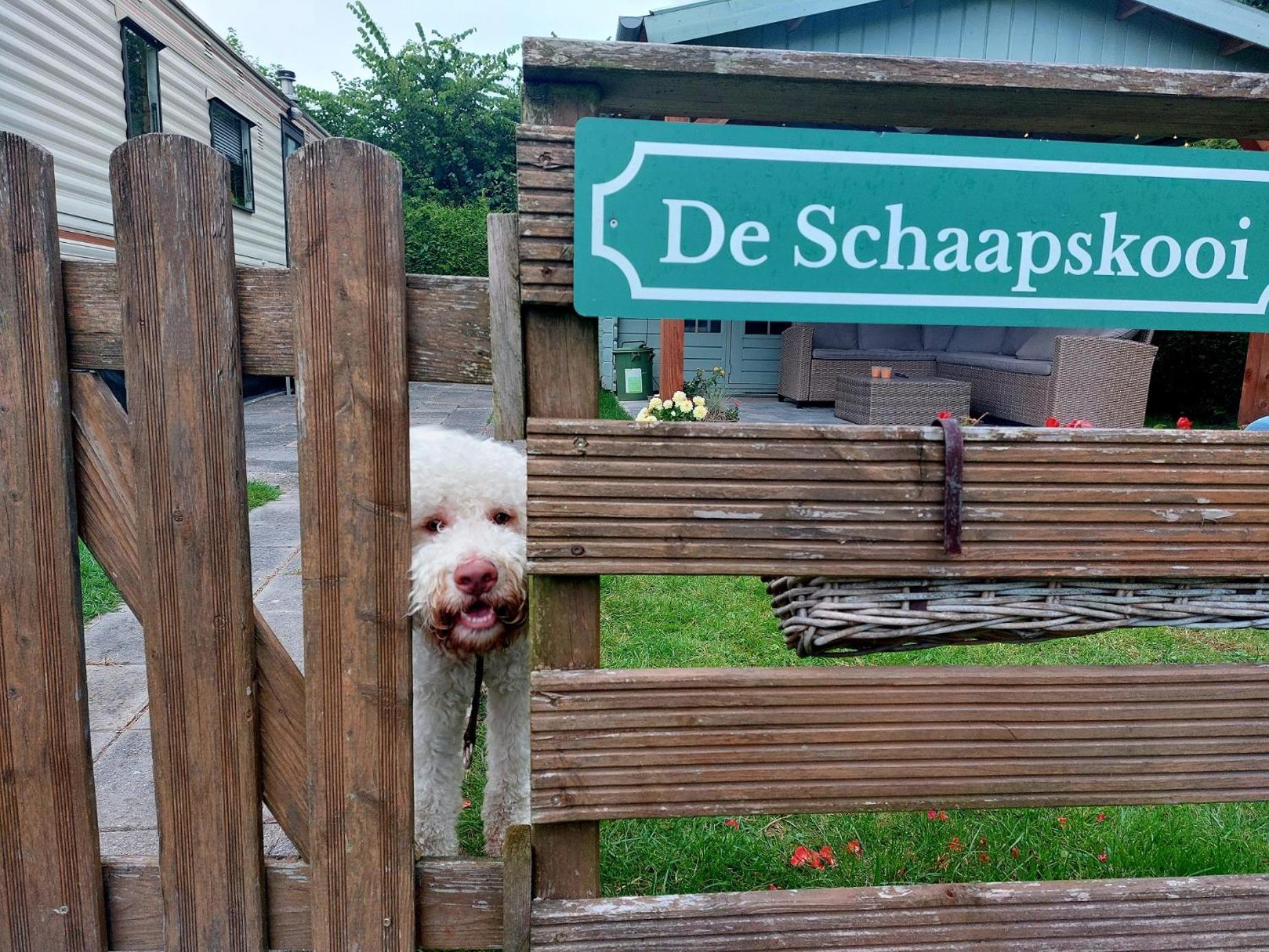Familychalet De Schaapskooi, 6-Persons, Big Private Garden, Dogs Aloud Westergeest Exterior foto